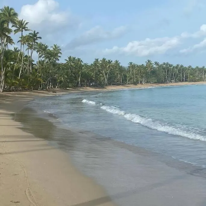Oceano Azul En Playa Bonita O302 Lägenhet Las Terrenas Dominikanska republiken